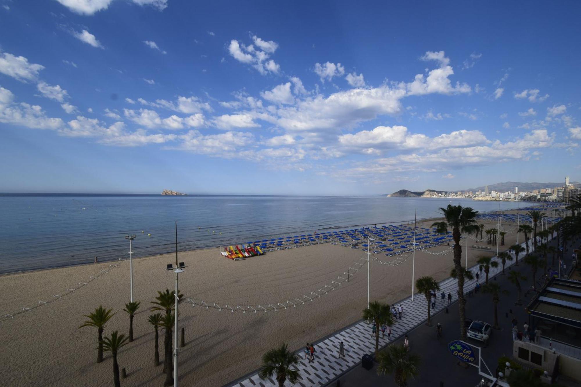 Cachirulo 2 - Arena * Benidorm